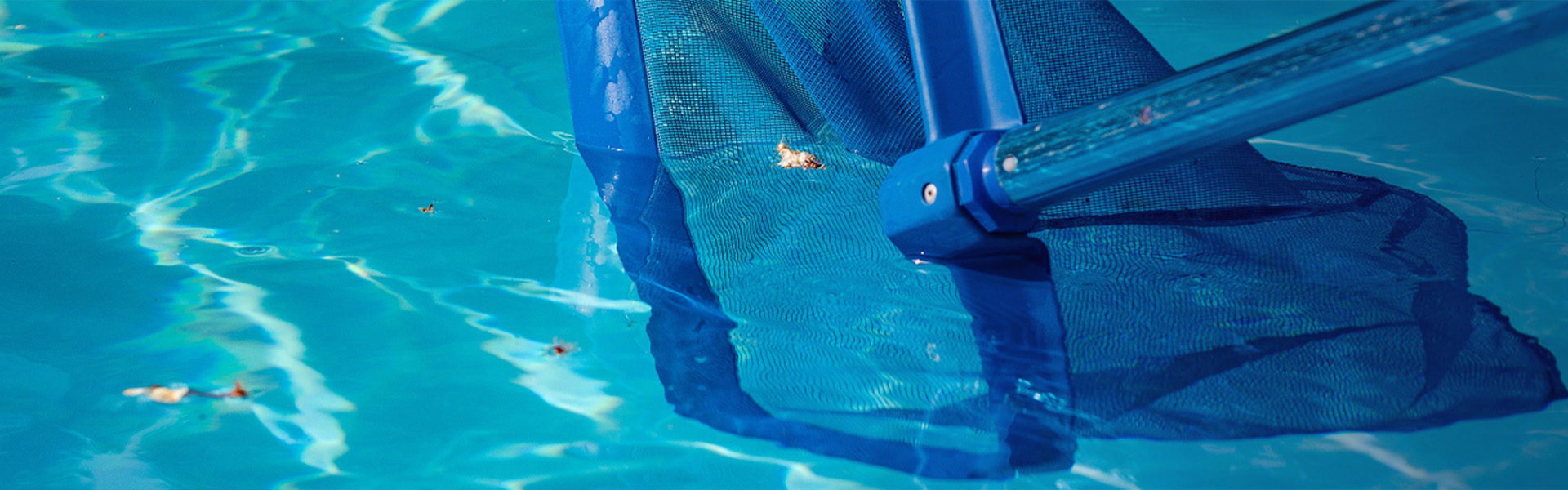 Common pool problems - debris caught in a leaf net