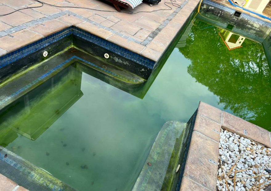 HAPPY CLIENT IN MELKBOSSTRAND – GUNITE POOL RELINING DONE