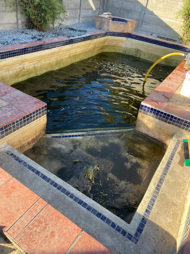 pool relining Kraaifontein before — leaking pool with green water and cracked marbelite