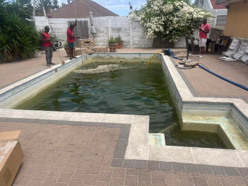 pool relining Monte Vista before — neglected pool with green algae water